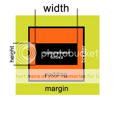 padding и margin Что такое padding и margin