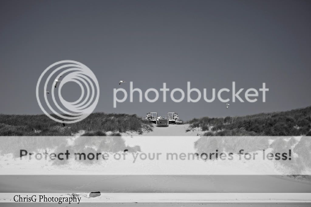 IMAGE: http://i701.photobucket.com/albums/ww12/cagoddard/4858584811_0900e7bbc0_b.jpg