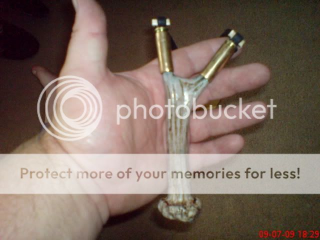DSC00430.jpg