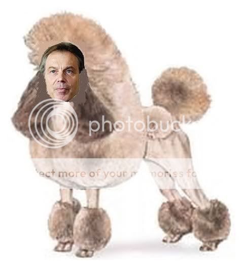 TonyBlairPoodle.jpg