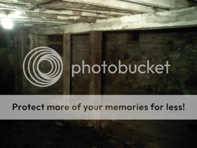 Pictures of the Barn - Cattle